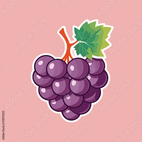 Grape illustration fruit vector design