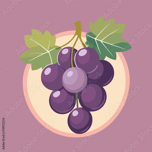 Grape illustration fruit vector design