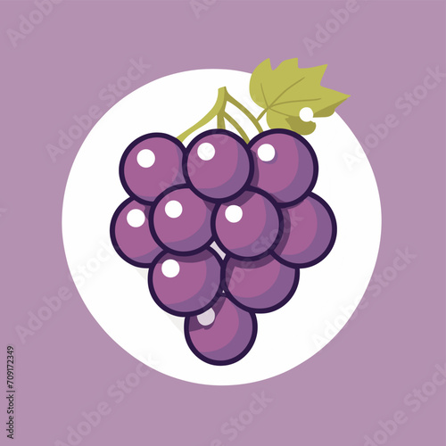 Grape illustration fruit vector design