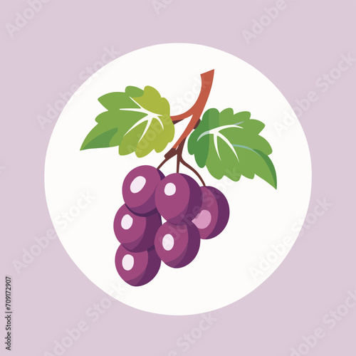 Grape illustration fruit vector design