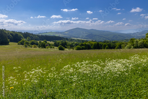 Typical Spring landscape in White Carpathians near Stary Hrozenkov, Southern Moravia, Czech Republic photo