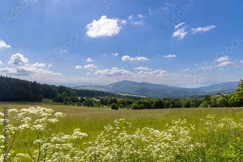 Typical Spring landscape in White Carpathians near Stary Hrozenkov, Southern Moravia, Czech Republic photo