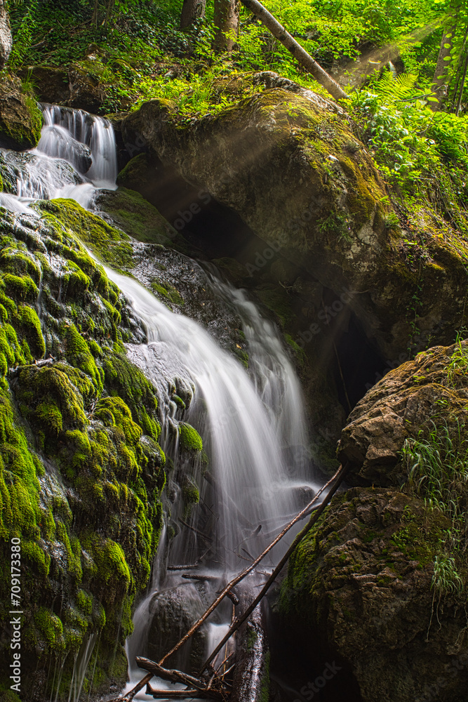 Fototapeta premium waterfall in the forest