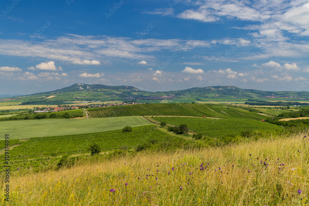 Vineyards under Palava, Southern Moravia, Czech Republic Vineyards under Palava, Southern Moravia, Czech Republic