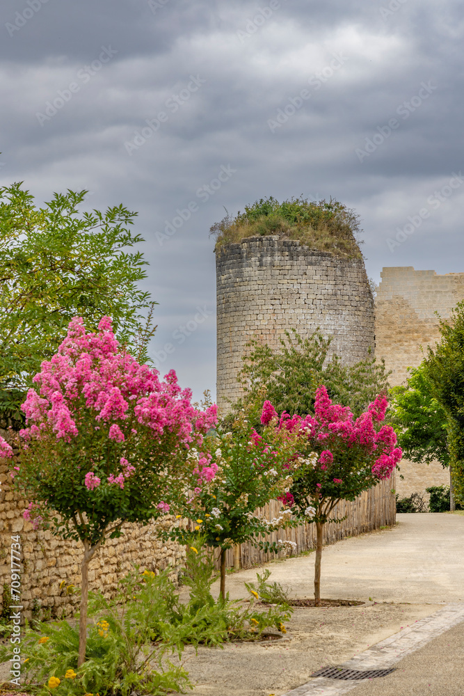 Fototapeta premium Chateau de Gencay ruins (Du Guesclin), department Vienne, Aquitaine, France
