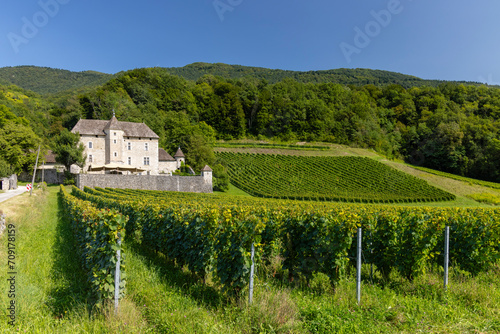 Chateau du Grand Mecoras too Chateau de Grand Mercoras, Auvergne-Rhone-Alpes, Savoie, France photo