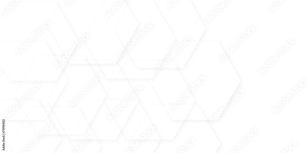 Seamless pattern with hexagons White Hexagonal Background with black and white color gradient. Digital concept Luxury honeycomb grid White Pattern Vector Illustration. Seamless pattern with hexagons White Hexagonal Background with black and white color gradient. Digital concept Luxury honeycomb grid White Pattern Vector Illustration.