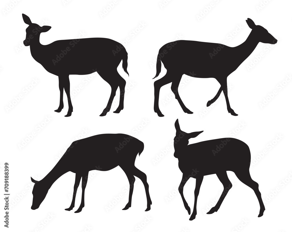 Vector set of black standing and walking doe silhouettes on white background Vector set of black standing and walking doe silhouettes on white background