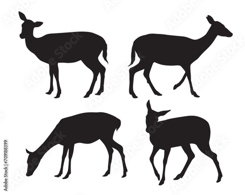 Vector set of black standing and walking doe silhouettes on white background