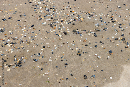 Beach, water, sand and waves birds Belgium 