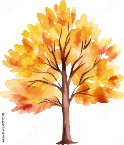 Colorful tree watercolor painting isolated on transparent background.