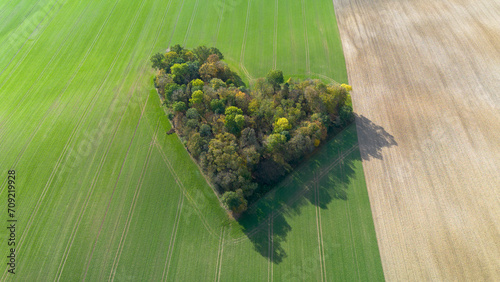 Heart-shaped grove in the field, Poland.