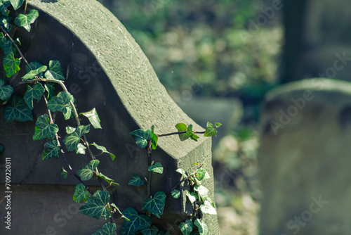 Kazimierz, Krakow, an ancient grave in the new Jewish cemetery with branches on it on a sunny day