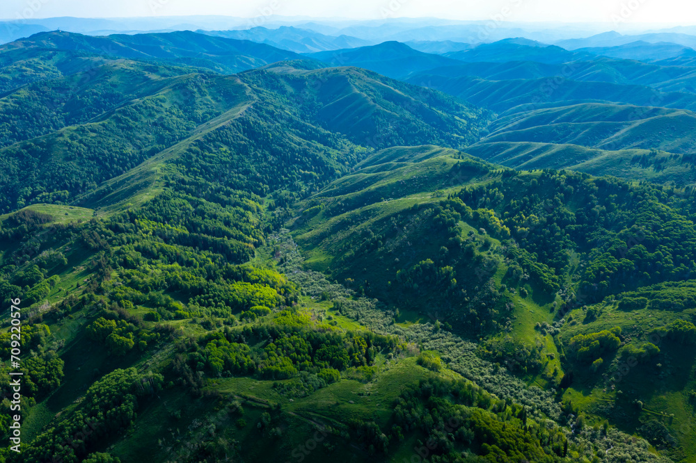 Drone view on forested mountain peaks, beautiful valleys, wildlife of Kazakhastan