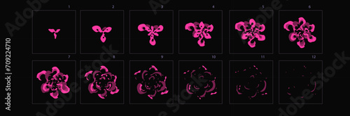 Firework burst animation . Sprite sheet of firework effect animation for games, cartoon or animation – Vector