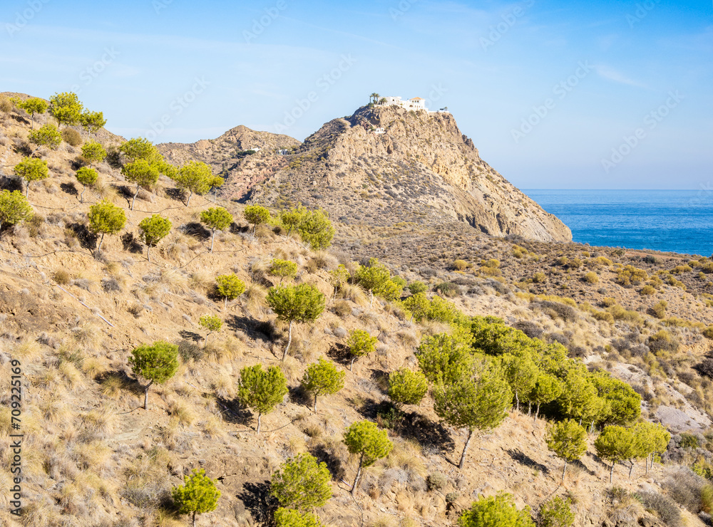 Views of trees and arid mountains near Mojacar town, Cabo de Gata, Spain