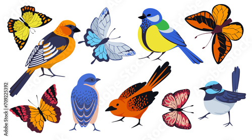 Spring animals. Birds and butterflies. Woodland nature. Wild insects. Flying birdies. Monarch and swallowtail. Lepidoptera bugs. Titmouse or waxwing. Summer colorful creatures vector set