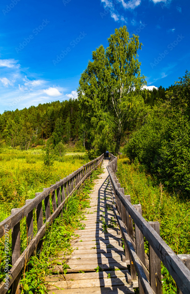 walk along ecotrope in the forest or on the swamp and lake. autumn landscape in suburbs. there are no people on the wooden paths in the nature reserve, national forest and park. a beautiful