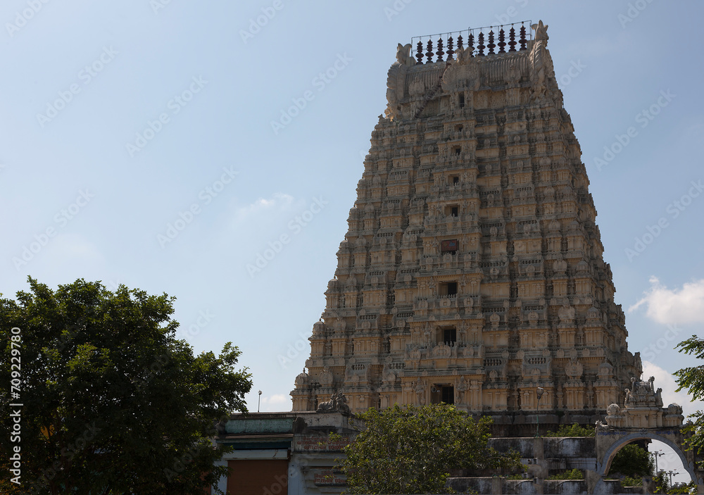 Fototapeta premium India Kanchipuram Ekambaranathar temple on a sunny winter day