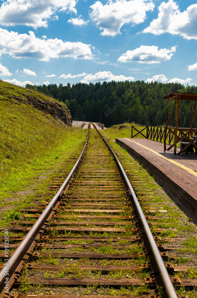 Railway, going far beyond the horizon; It passes through the flat terrain, along sides of fields and meadows with yellow and green hues, trees are also visible; The sky is cloudless color photo Railway, going far beyond the horizon; It passes through the flat terrain, along sides of fields and meadows with yellow and green hues, trees are also visible; The sky is cloudless color photo