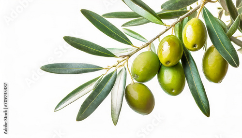Olive branch with green olives isolated on white background