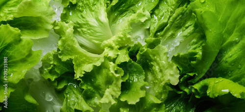 Fresh iceberg salad leaves, with water drops over it, closeup macro detail. Generative AI