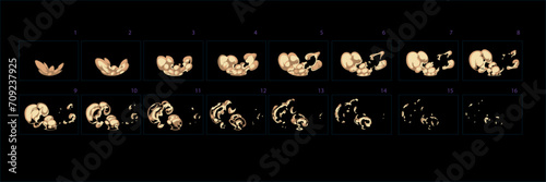 Dust burst animation . Sprite sheet of dust effect animation for games, cartoon or animation. Set of frames dust animation. – Vector