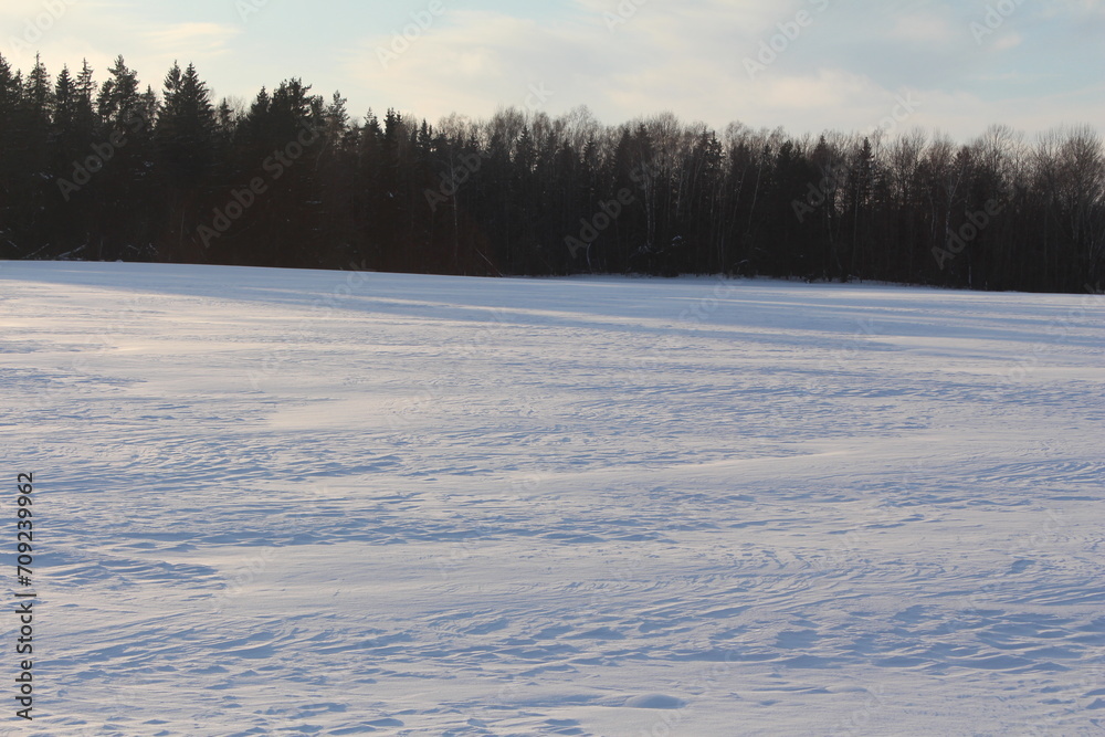 
Ski trip in winter