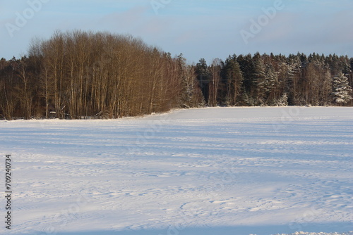 A snow-covered field