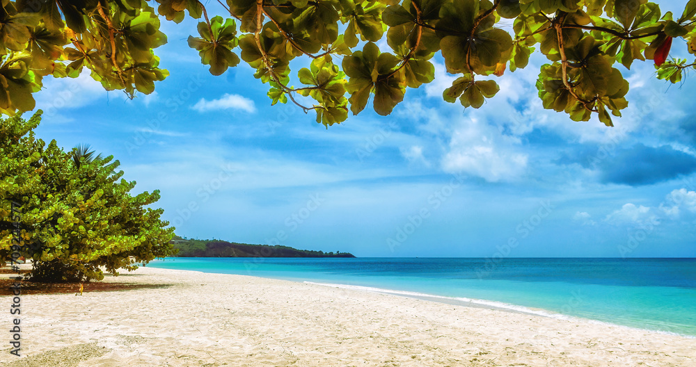 View of Grand Anse beach on Grenada Island, Caribbean region of Lesser Antilles - obrazy, fototapety, plakaty 