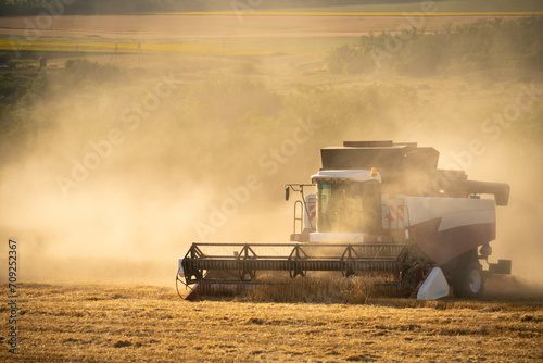 Combine harvester harvests wheat at sunset © scharfsinn86