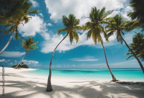 Beautiful beach with white sand turquoise ocean blue sky with clouds and palm tree over the water on © ArtisticLens