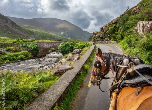 Gap of Dunloe with a horse photo