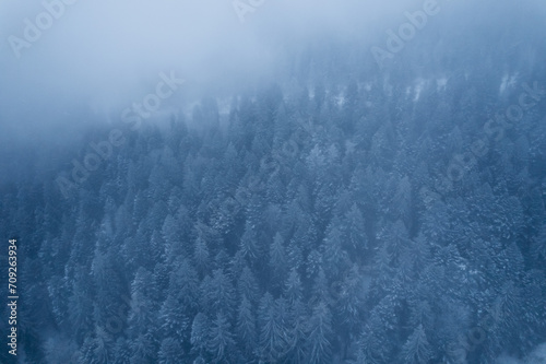 Mountains and forest in winter.Top view of the mountains   © Miha Creative
