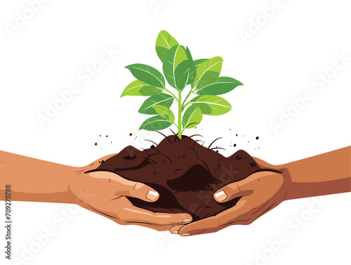 plant in hands
