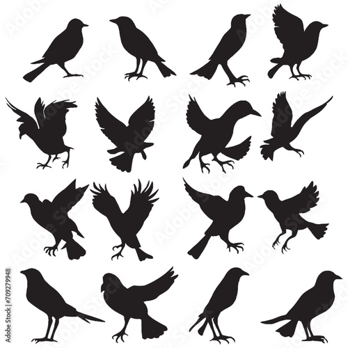 Set of a flock of flying different birds silhouettes Collection of different cartoon black birds on white background. Vector illustration.