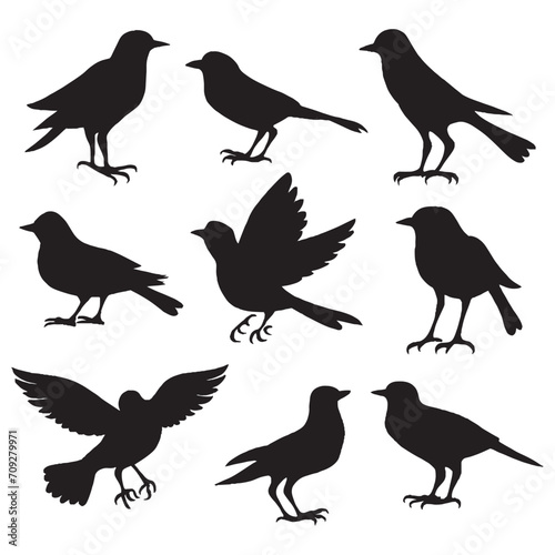 Set of a flock of flying different birds silhouettes Collection of different cartoon black birds on white background. Vector illustration.