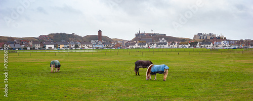 Village meadow in Wijk aan Zee in The Netherlands, formerly used as hayfield for cows and horses. Example of a sea village landscape. photo