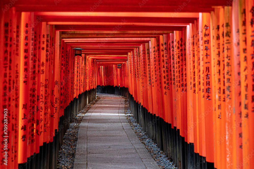 Naklejka premium Fushimi Inari Taisha Torii Schrein der tausend Torii in Kyoto