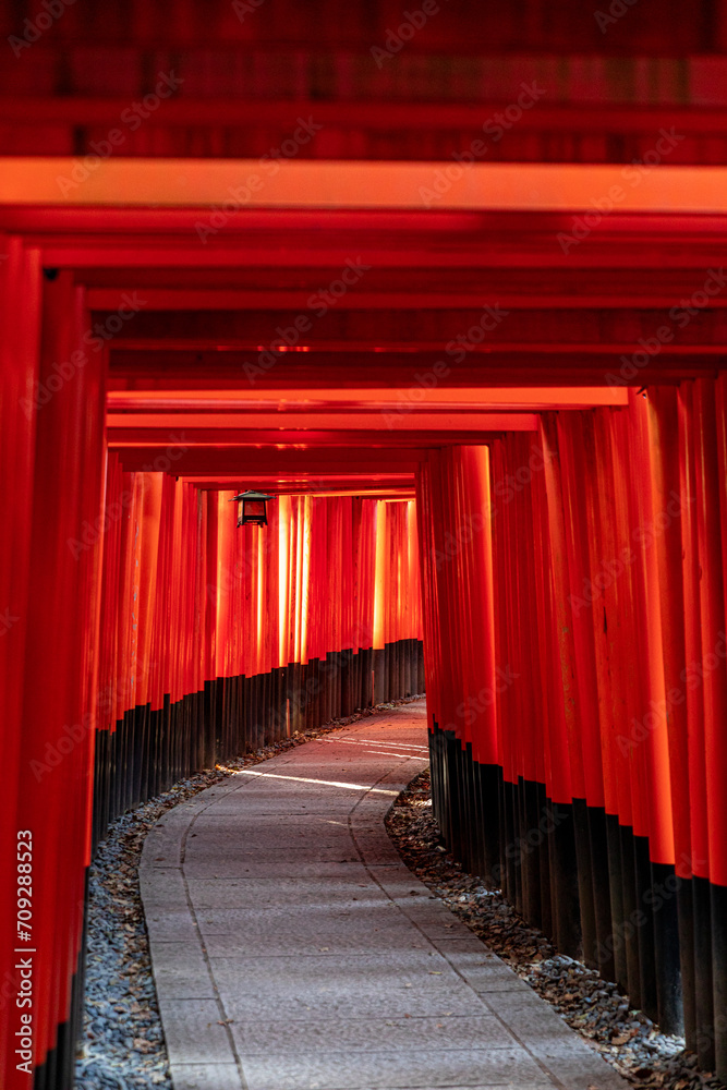 Fototapeta premium Fushimi Inari Taisha Torii Schrein der tausend Torii in Kyoto