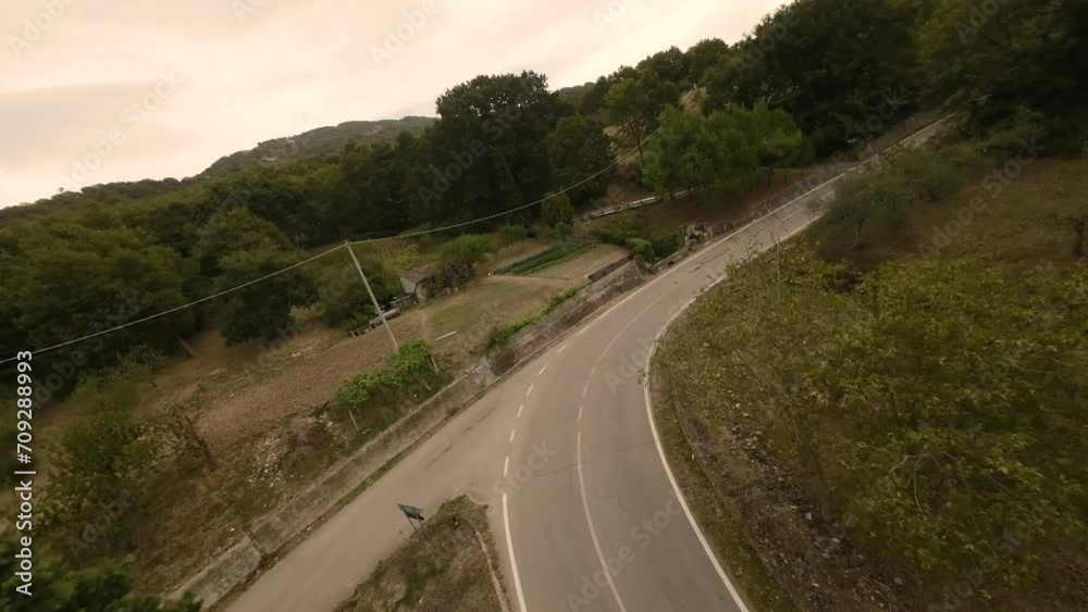 Mountain road in the trees, in fpv