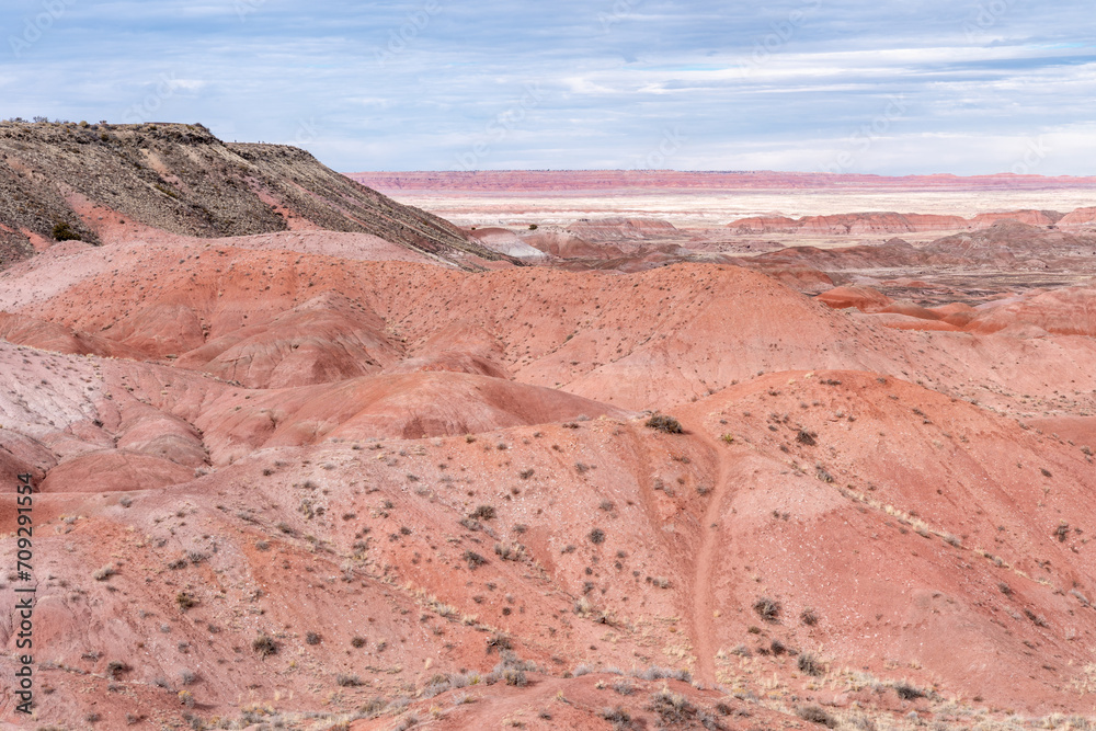 Beautiful view of the painted desert area of Petrified Forest National Park Arizona