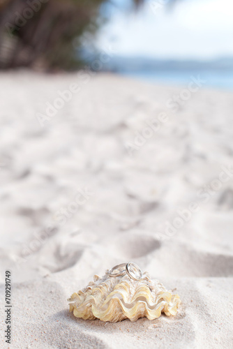 Romantic tropical scene on beach