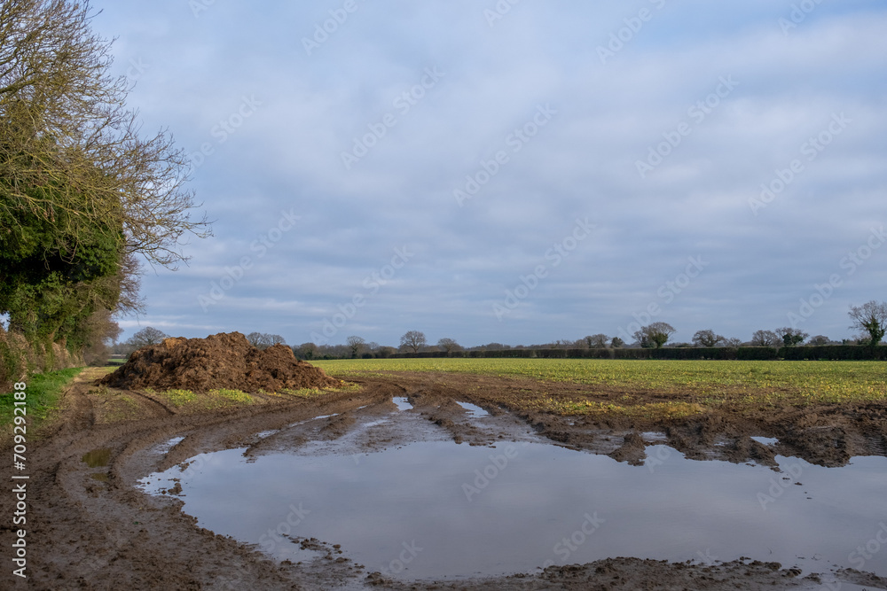 Pile of manure in an agricultural field ready for spreading in the Norfolk countryside Pile of manure in an agricultural field ready for spreading in the Norfolk countryside
