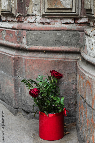 flowers in a pot