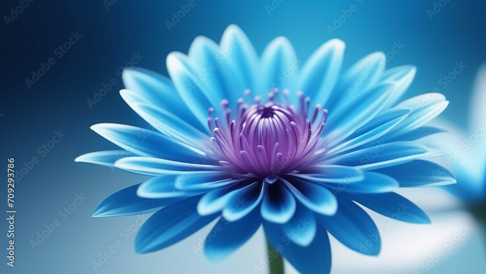 Blue lush flower on a gradient background. Blue lush flower on a gradient background.