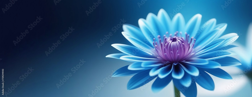 Obraz premium Blue flower on a blue background.