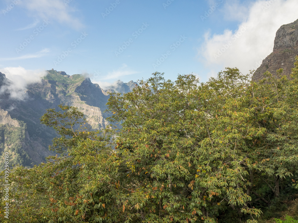 Fototapeta premium Die Insel Madeira im Atlantik