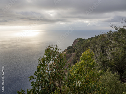 Wallpaper Mural Die Insel Madeira im Atlantik Torontodigital.ca