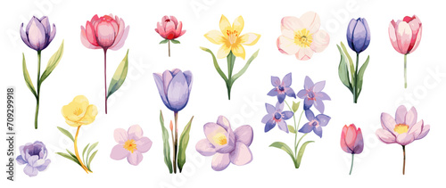 Wallpaper Mural Spring flowers isolated clipart. Watercolor flower springtime, tulips, lily and narcissus. Decorative floral elements, vector blossom set Torontodigital.ca